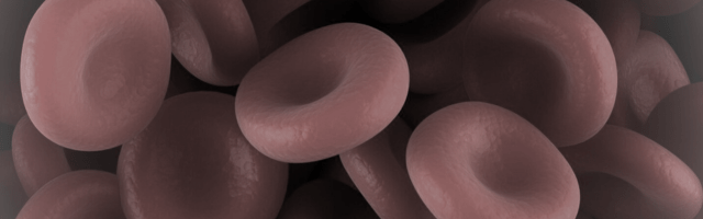 patient blood management